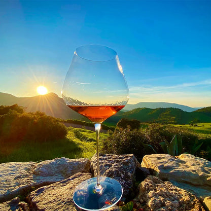 Set 6 Copas de Vino Cristal 710ml Burgundy Stölzle Alemania